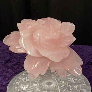 Rose Quartz Rose 🌹💎🌹